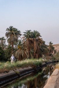 Egypte reis